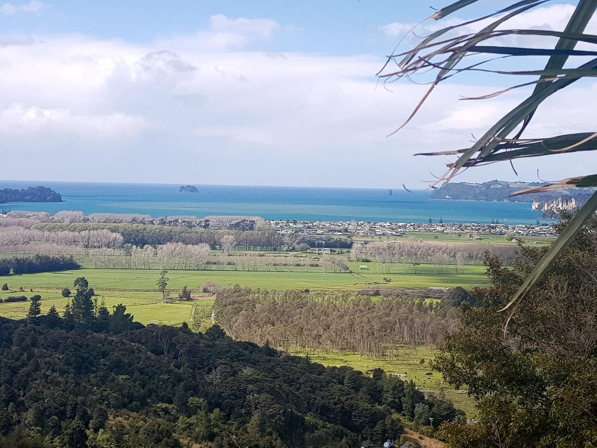 Woodyhanger Lodge Whitianga Dış mekan fotoğraf